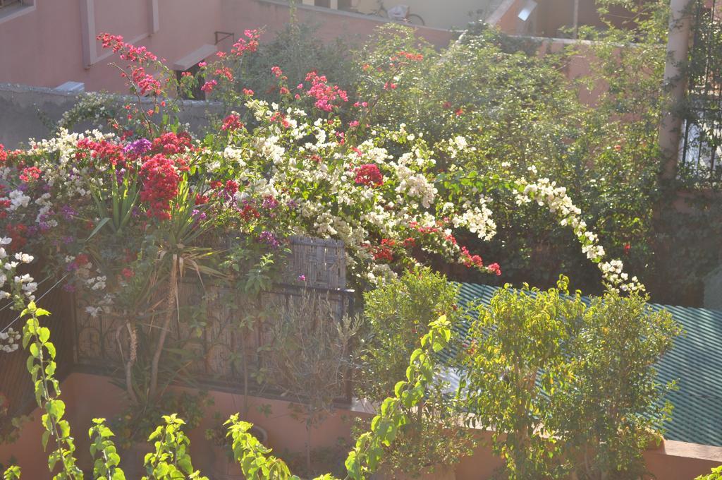 Appartement Andalou Marrakesh Værelse billede